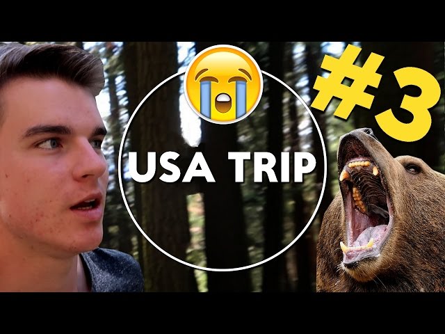 USA TRIP #3 - Medvěd a vykradené auto | KOVY