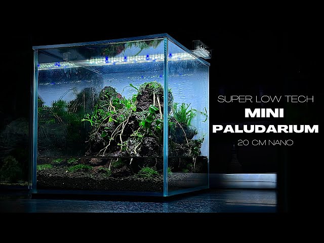 LOW TECH PALUDARIUM SETUP | AQUASCAPING TUTORIAL