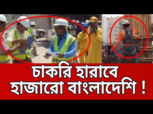 কুয়েতের নতুন আইন ! চাকরি হারাতে পারে বহু বাংলাদেশি ! | Kuwait | Bangla News | Mytv News