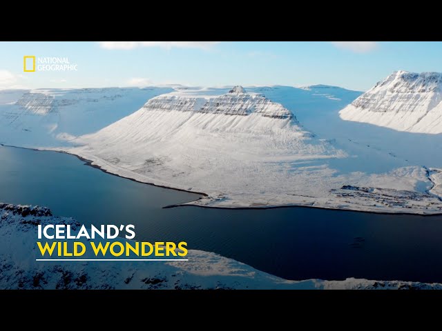 Iceland’s Hidden Beauty | Europe From Above | हिंदी | Full Episode | S3 - E6 | Nat Geo