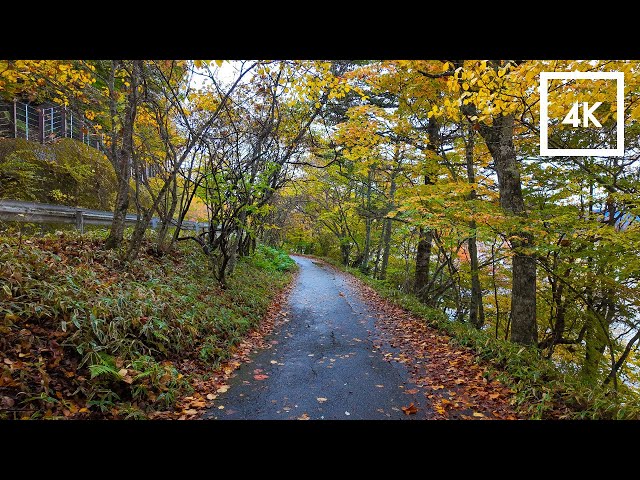 【🍁Autumn in Japan】☔️Walking around Lake Chuzenji in Nikko with the autumn foliage on a rainy day