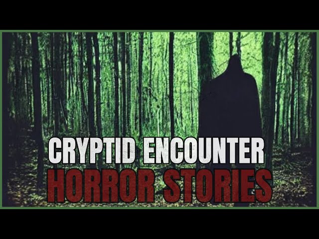 4 Scary Cryptid Encounter + Deep Woods Horror Stories