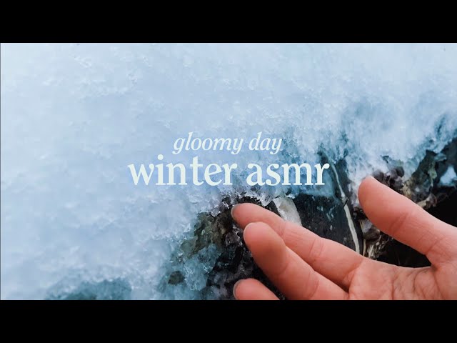 Nature ASMR - Tapping & Scratching Ice and Snow 🤍