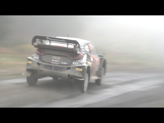 WRC Rally Chile Bio Bío 2024 | FOG : ZERO VISIBILITY & FAITH IN THE PACENOTES  | @AP90Video