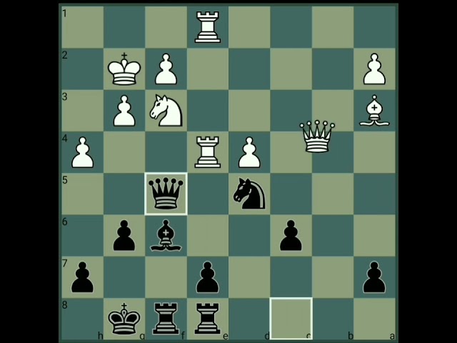 Ildar Ibragimov vs Vladimir Kramnik | URS Young Masters Championship | Kherson 1991