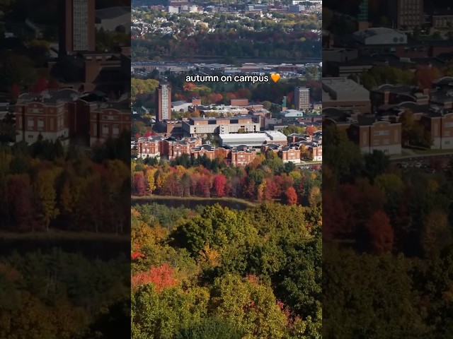 We can’t beleaf how beautiful fall is in Binghamton! #binghamtonuniversity #college #fall