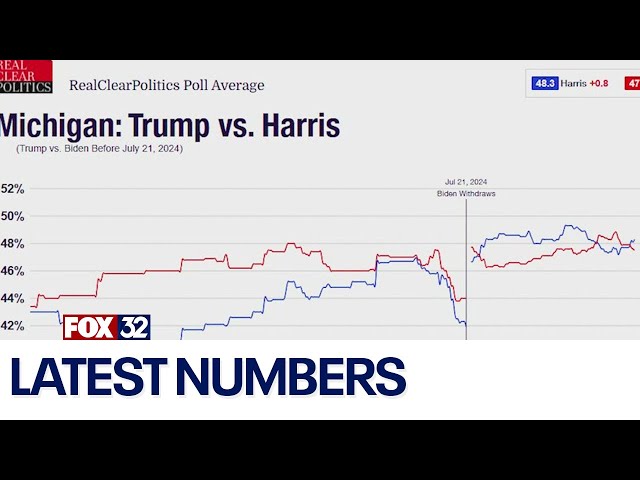 Presidential Election 2024: Who's winning in the polls?