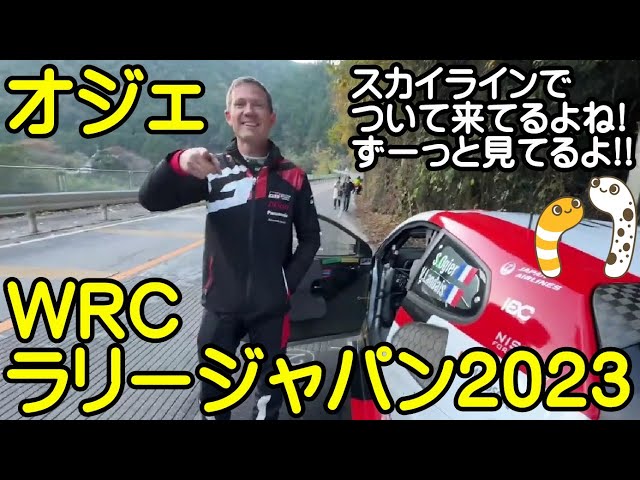 スカイラインでついて来てるよね！ずーっと見てるよ!!　オジェ選手　完全版　WRCラリージャパン2023【ちんあなご】