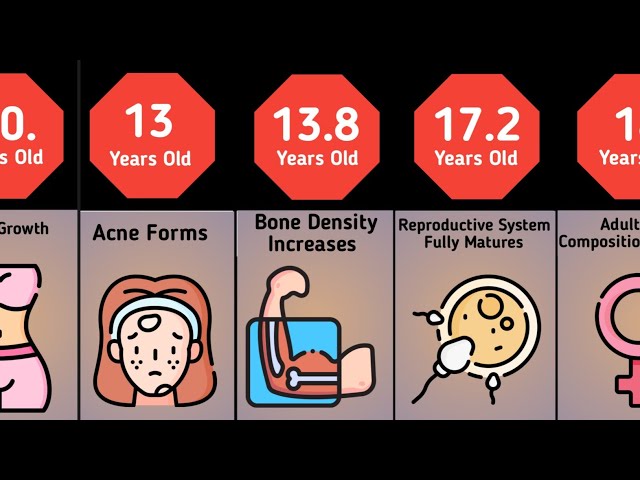 Female Puberty