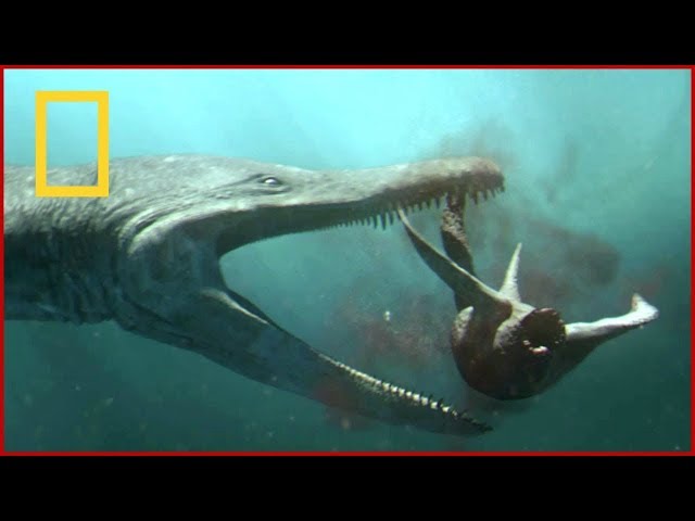 Nat Geo Wild - Dinosaurs Predators Of The Deep - National Geographic Animals