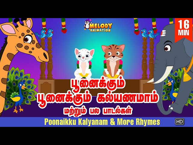 Poonaikku Poonaikku Kalyanam & More Rhymes | பூனைக்கும் பூனைக்கும் கல்யாணமாம் |Tamil Rhymes for Kids