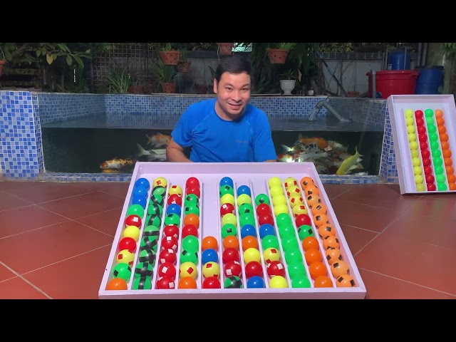 Puzzle sort ball game solve challenge very smart level 11x10