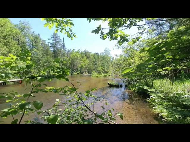 VR180 3D - Rapid River, Kalkaska County, MI - July, 2019