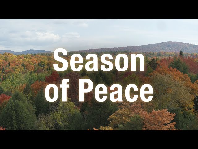 Receive God's Peace | 3 Hour Instrumental Music for Prayer & Worship