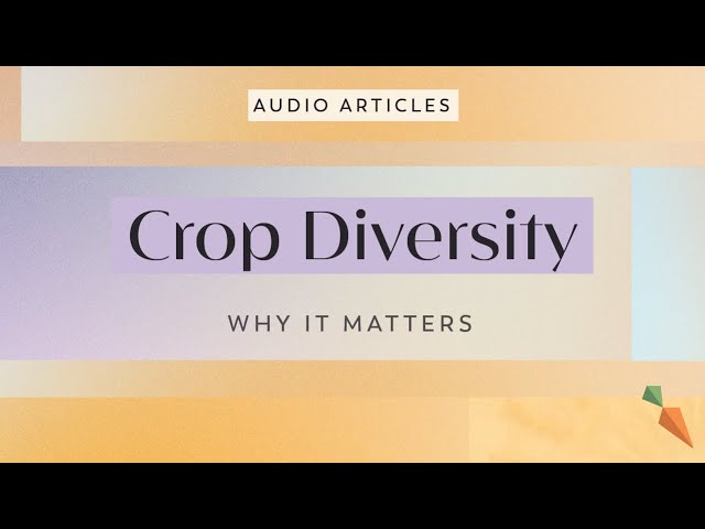 Crop Diversity: Why It Matters | FoodUnfolded AudioArticle