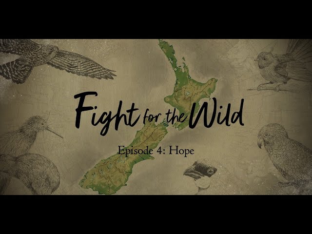 Fight for the Wild | 4: Hope | RNZ