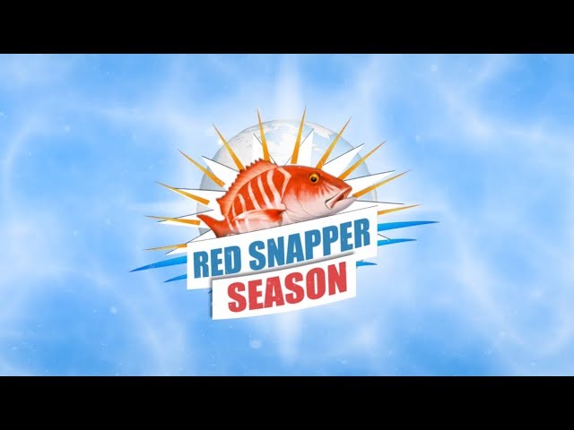 360 VR Red Snapper Season   Promo video