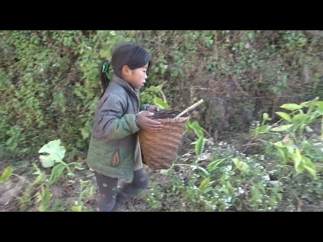 Myvillage official videos EP 712 || Traditional village life