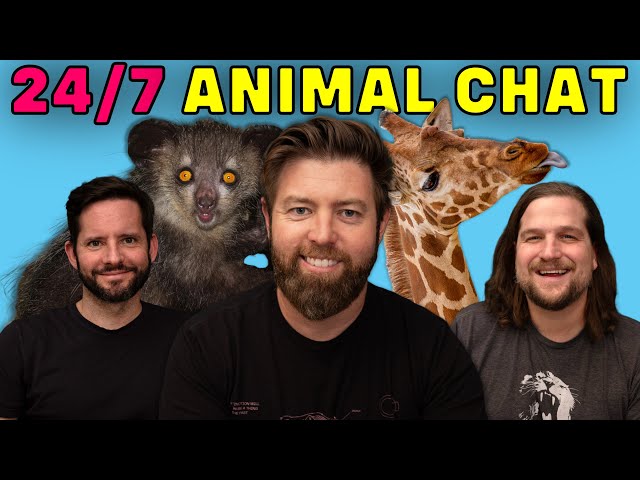 24/7 Animal Learning and Fun w/ Forrest Galante & The Wild Times Crew