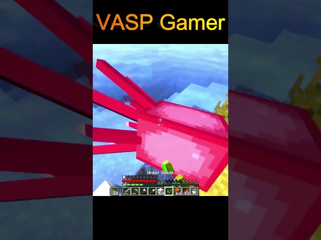 Minecraft || VASP Gamer #shorts #gaming #trending #viral #minecraft #vasp