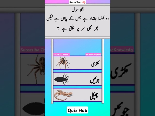 Quiz MCQs Questions Answers For Increasing Knowledge Brain Test 🧠