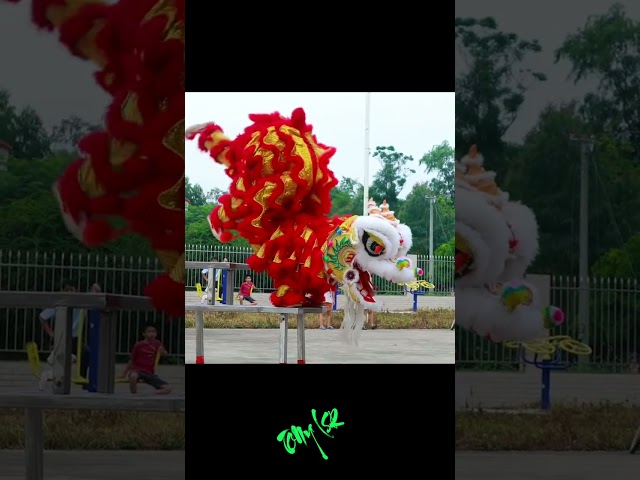 Múa lân Đầu Rồng Lộn Santo Cực Đỉnh / Lion Dance #Shorts