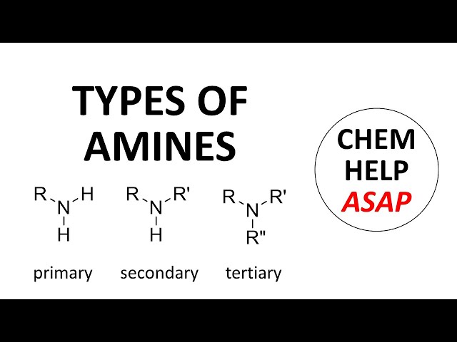 types of amines - primary, secondary, & tertiary