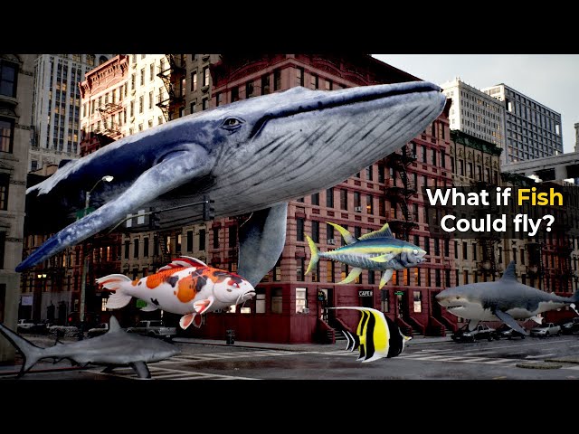 What if FISH could fly? |  Sea creatures Size comparison | Bloop size