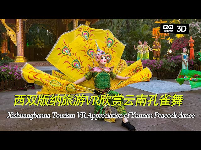 VR游西双版纳欣赏云民族特色孔雀舞VR180 Xishuangbanna Tourism VR Appreciation of Yunnan Peacock dance