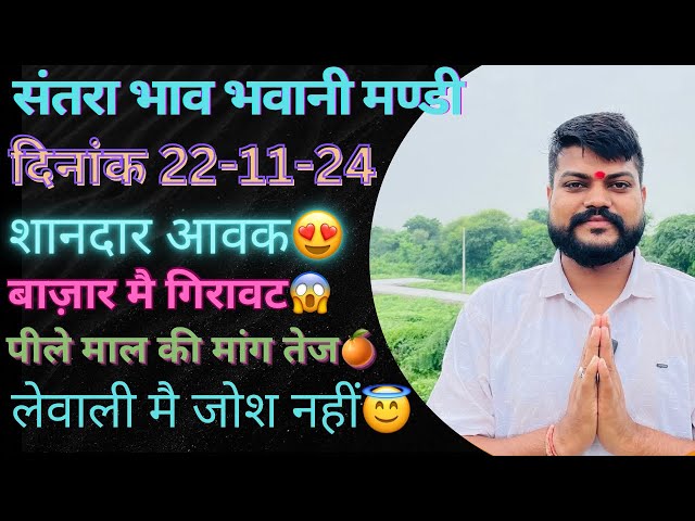 संतरा मै गिरावट😱😱 भवानीमंडी दिनांक 22-11-24 लेवाली मै जोश नहीं||बंपर आवक||today orenge rate