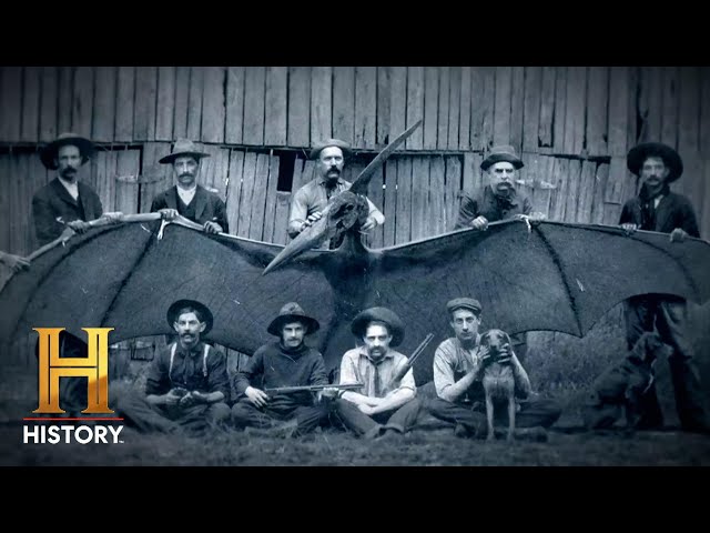 The UnXplained: Pterodactyl Creature Spotted in 1800s Arizona (Season 4)