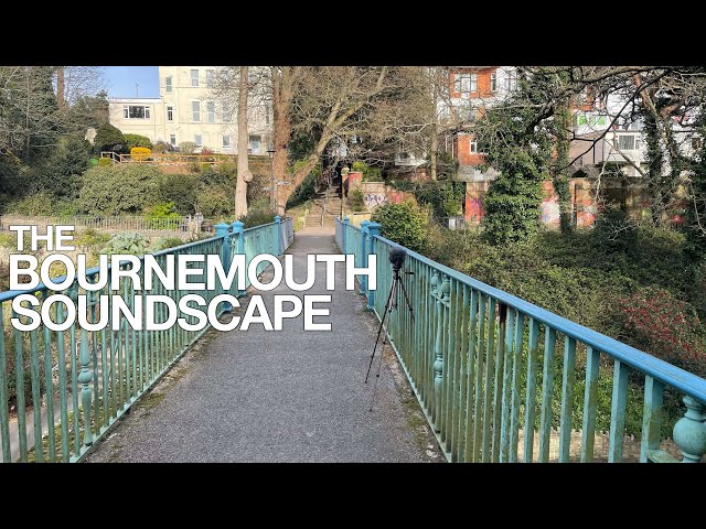 Boscombe Chine - On top of the Foot Path (spatial)