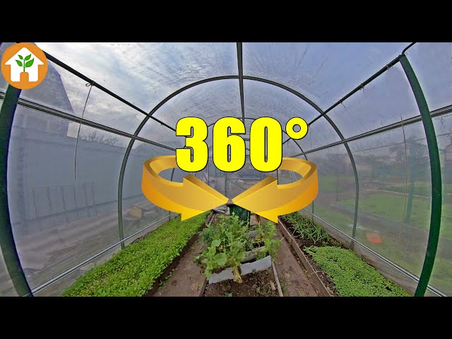 Greenhouse Dismantle Ideas #WithMe VR 360 TimeLapse 4K - How to Teardown Garden PVC Greenhouse DIY