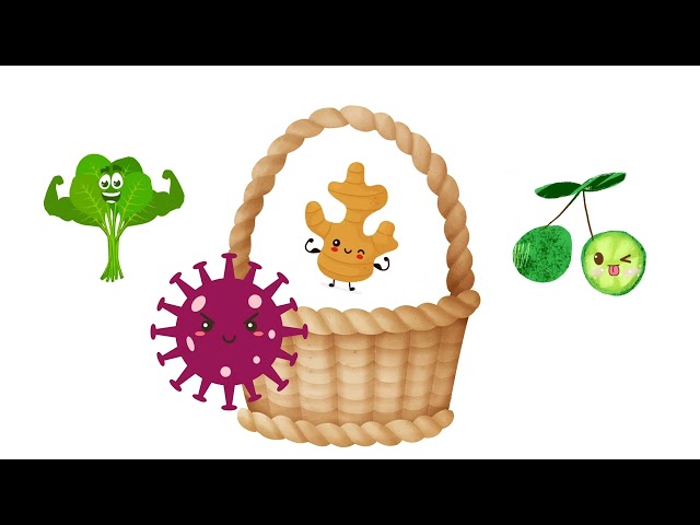 Fruits and Vegetables | English Circle Time Songs 🌟