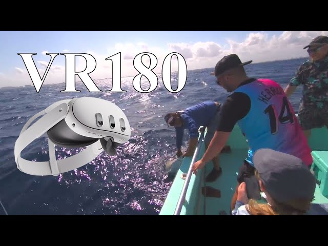 #VR180 Catching a Hammerhead Shark! 3D Virtual Video!