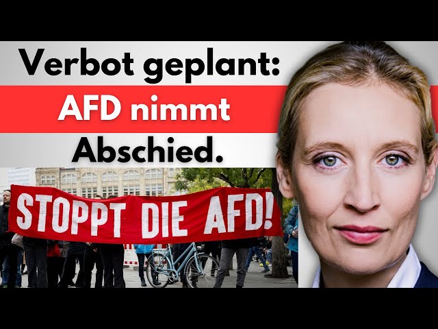 Krass: Afd wird verbannt! (Dokumente offen gelegt)