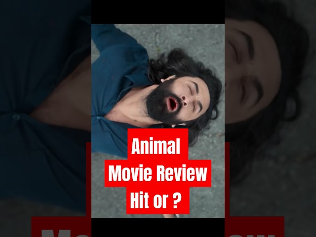 Animal Movie REVIEW |Movies Lover Review #shorts #moviesloverreview #animalmovie