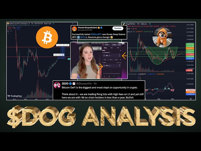 $DOG (Rune) will Explode 10X-50X after Bitcoin Dominance 💥 🟧