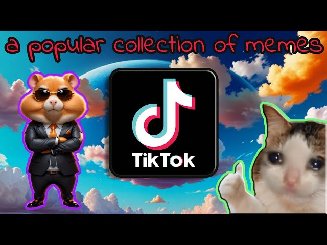 A Popular TikTok Memes VR360° Hamster Combat/Cat Billie Jean/Pennywise