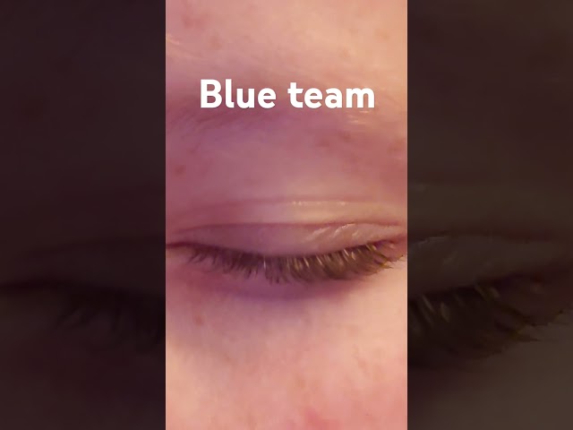 Blue team