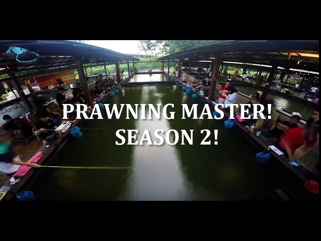 Singapore Prawning - Prawning Master Season 2 Finals! シンガポールでえび釣りに挑戦