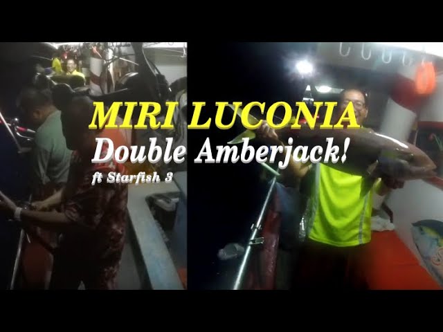 Miri Luconia Offshore - Starfish 3 Part 4 (Amberjack!)