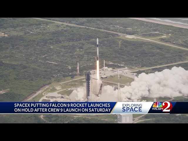 SpaceX puts Falcon 9 launches on hold after rocket anomaly