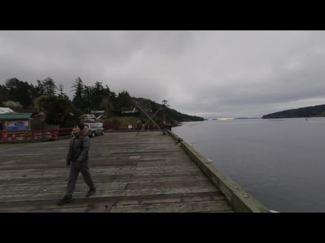 Saltspring Island Nature, Farms, Waterfront, and Marinas - VR 180 3D Tour March 2022 - BC Canada