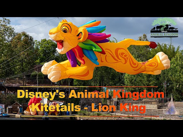 8K Lion King Kitetails in Disney's Animal Kingdom VR180 3D