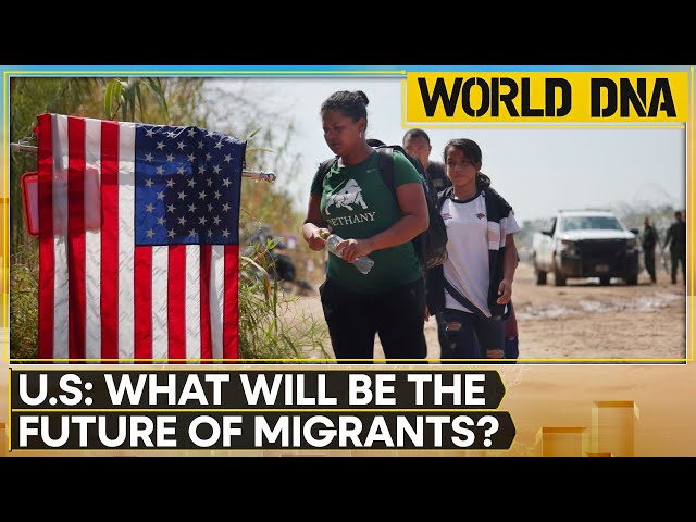 Trump 2.0: What Will Be The Future Of Migrants? | World DNA | World News | WION