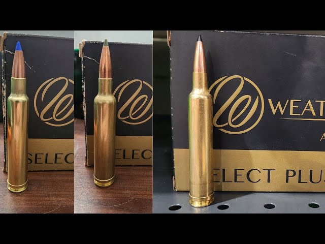 Top 3 Most Overrated Weatherby Cartridges