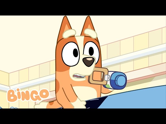 Big Bingo Adventure! ✨ 🧡 | Best of Bluey and Bingo | Bingo - Official Channel