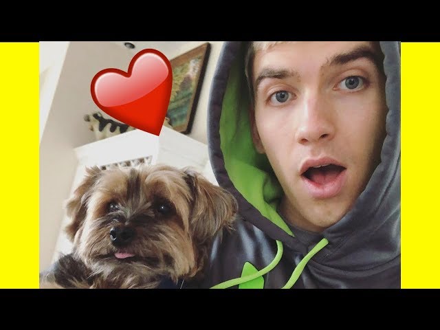 STEPHEN SHARER & OTTER SHARER | CUTEST MOMENTS ❤️🐶