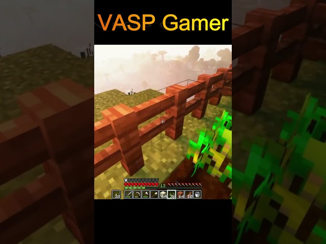 Minecraft || VASP Gamer #shorts #gaming #trending #viral #minecraft #vasp